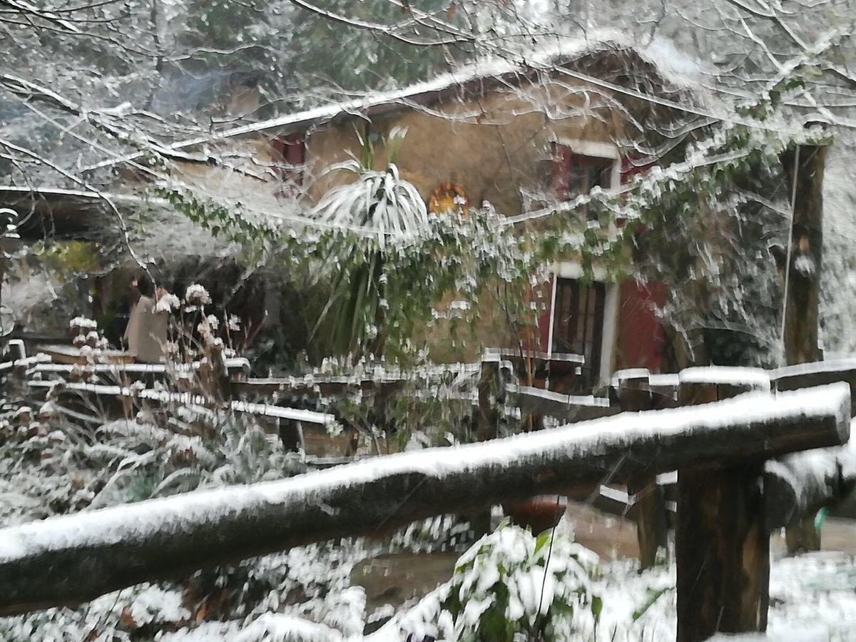 Centro Trekking A Cavallo Monte Brugiana Guest House Massa  Exterior photo